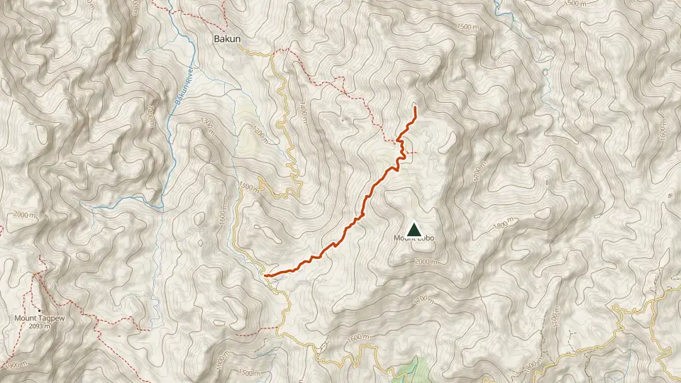 Topographic map of Mt. Lobo (Bakun) with its mapped routes in orange and the summit marked